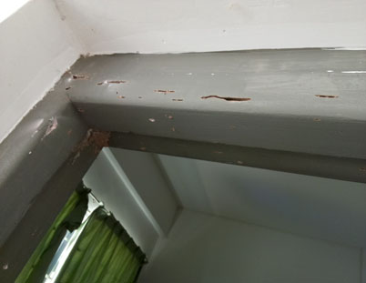 泉州洛江区小区灭白蚁， 门框被白蚁蛀食实例