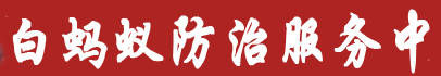 泉州泉港区白蚂蚁防治电话 199 5985 2549 惠安灭除白蚁中心.惠安专业白蚂蚁电话.虫消杀公司（泉港 山腰、后龙、南埔、涂岭、前黄、峰尾、界山镇专业上门灭白蚁治理电话号码）